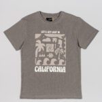 Μπλούζα LOSAN γκρί